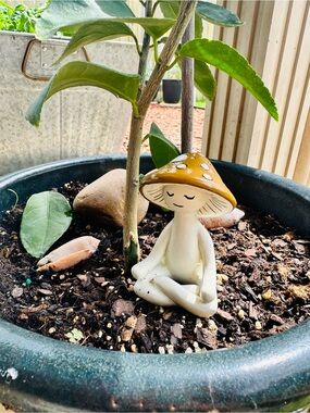 Mr. Mello 🍄 Meditating Mushroom Garden Figurine